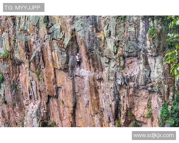 深圳极限运动队在世界攀岩锦标赛中的战术分析与表现点评